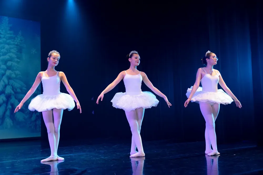 Class'dance - Gala 2025 (11)